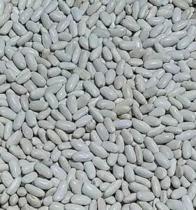 Meşhur Sarıcaovadan kuru fasulye hızlı pişer endemik türdür. Yerli üretim yerli tür.