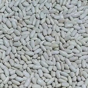 Meşhur Sarıcaovadan kuru fasulye hızlı pişer endemik türdür. Yerli üretim yerli tür.