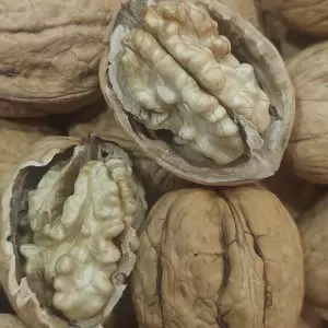 Sarıcaovadan beyaz kelebek ince kabuk yerli üretim ceviz