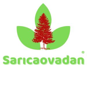 Hakkımızda 14 Sarıcaovadan