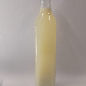 El yapımı sarımsak limon kürü katkı koruyucu içermez