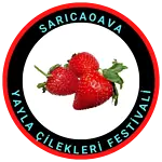 Hakkımızda 13 Cilek logo