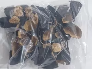 Dolmalık Göbek Patlıcan Kurusu - Görsel 3