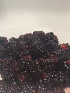 Böğürtlen Reçeli 460 Gr - Görsel 5