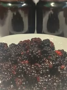 Böğürtlen Reçeli 460 Gr - Görsel 2