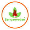 Sarıcaovadan