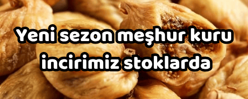 kuru incir banner