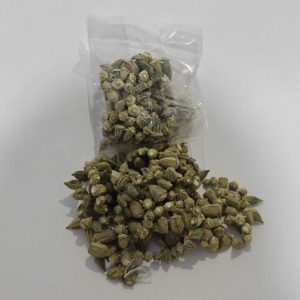 Bamya Kurusu 1 Dizi 50 – 55 Gr