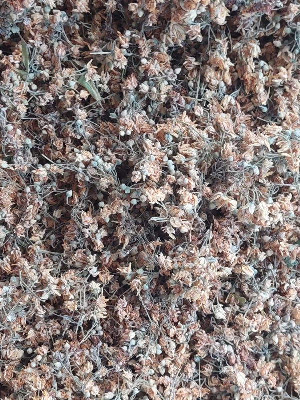 Ihlamur Çiçeği 100 Gr