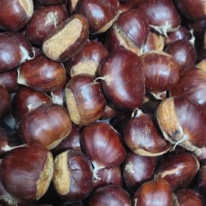 Aydın Kestanesi 1 Kg Jumbo