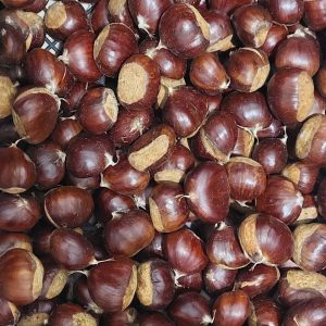 Aydın Kestanesi 1 Kg Jumbo
