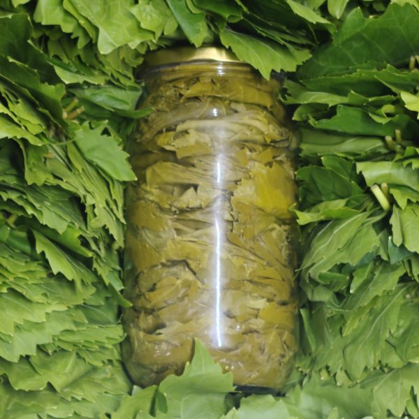 Asma Yaprağı 400 G