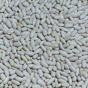 Kuru Fasulye 500 Gr Ata Tohumu