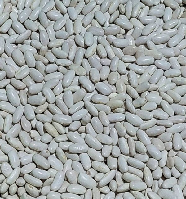 Kuru Fasulye 500 Gr Ata Tohumu