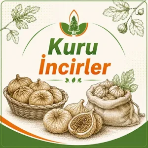 Kuru İncirler