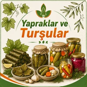 Yapraklar ve Turşular
